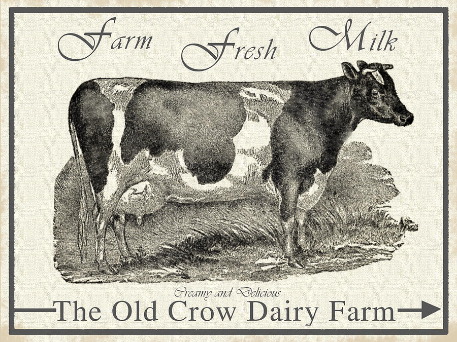 The Old Crow Dairy Farm Drawing by Vintage Pix