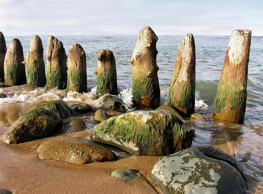 The Old Dock Pilings Photograph by Kathi Mirto