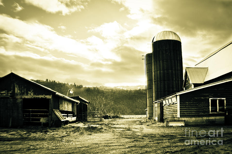 The Old Farm Photograph by Clayton Bruster