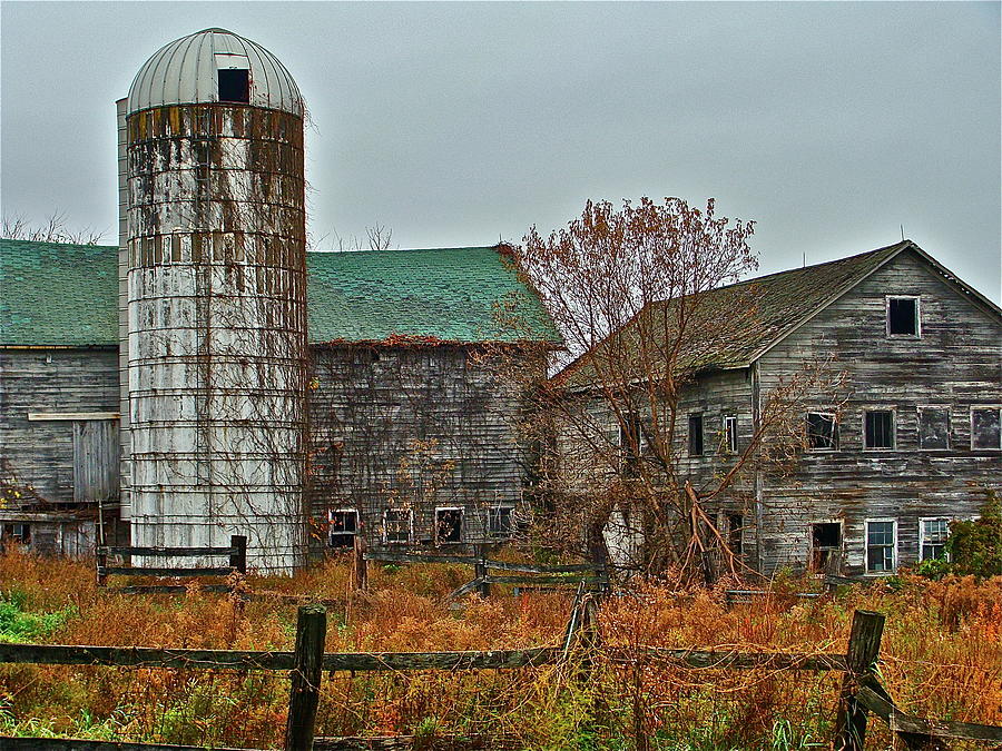 The Old Farm Photograph by Diana Hatcher