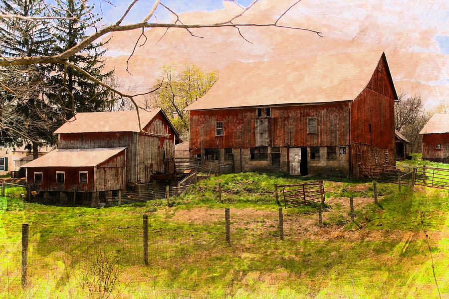 Barn Photograph - The Old Farm by Lisa Hurylovich