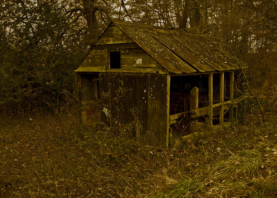 The old farm shed Photograph by Patrick Kain