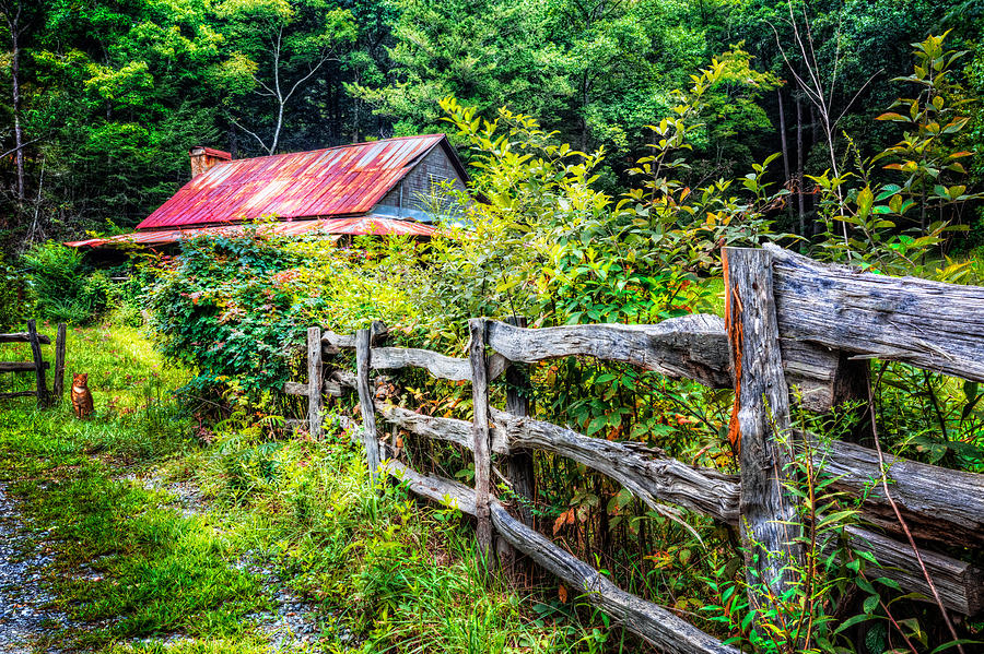 Barn Photograph - The Old Fence by Debra and Dave Vanderlaan