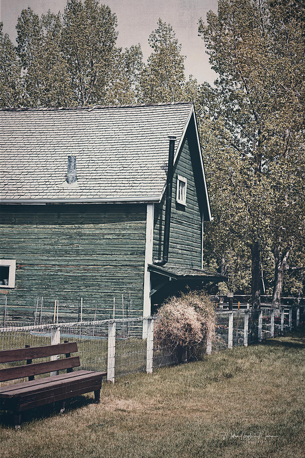 The Old Green Barn Photograph by Maria Angelica Maira