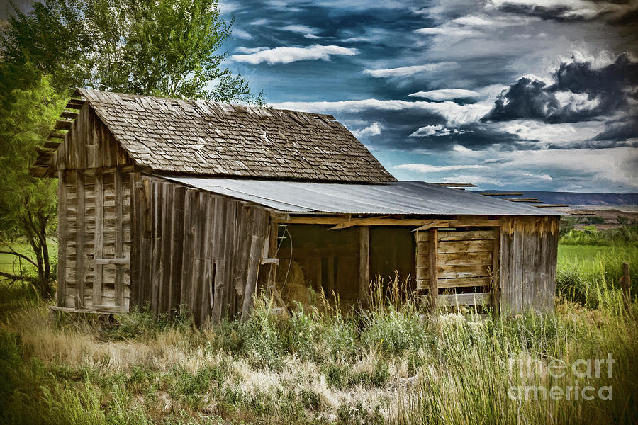 The Old Hay Barn Photograph By Janice Pariza