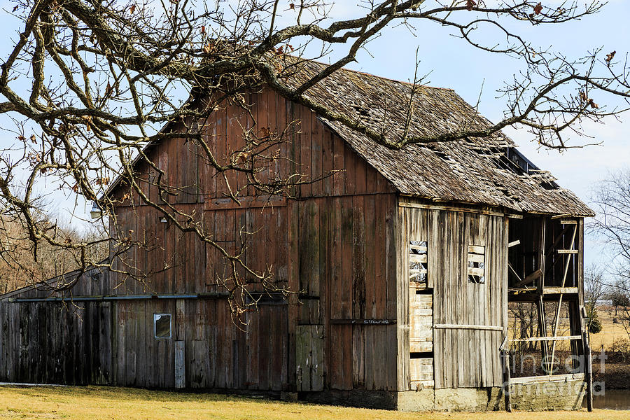 The Old Hay Barn Photograph By Terri Morris