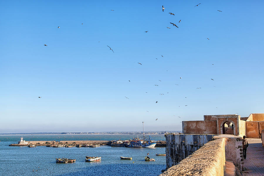 the old historic portuguese fortress city El Jadida in Morocco Photograph by Gina Koch