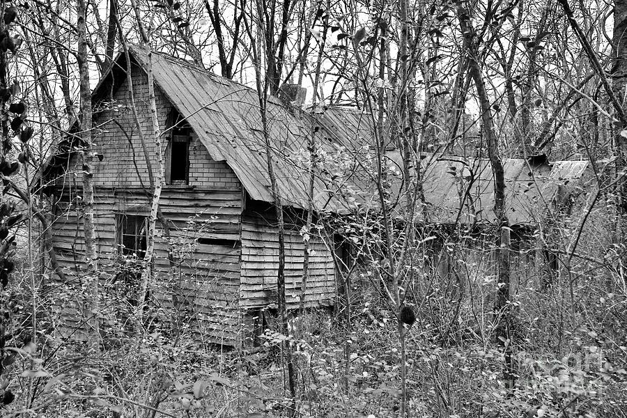 The Old Homestead Photograph by John Franke | Fine Art America