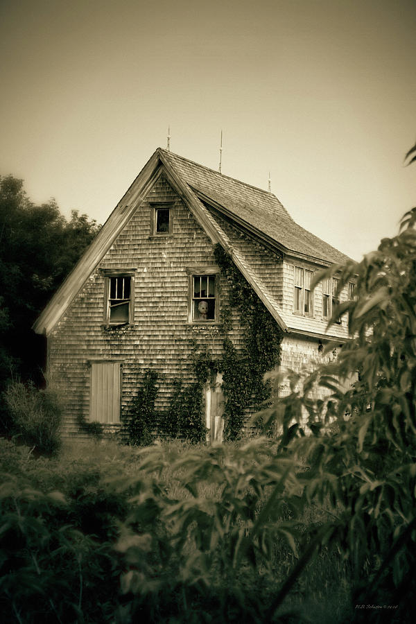 The Old House Photograph by WB Johnston