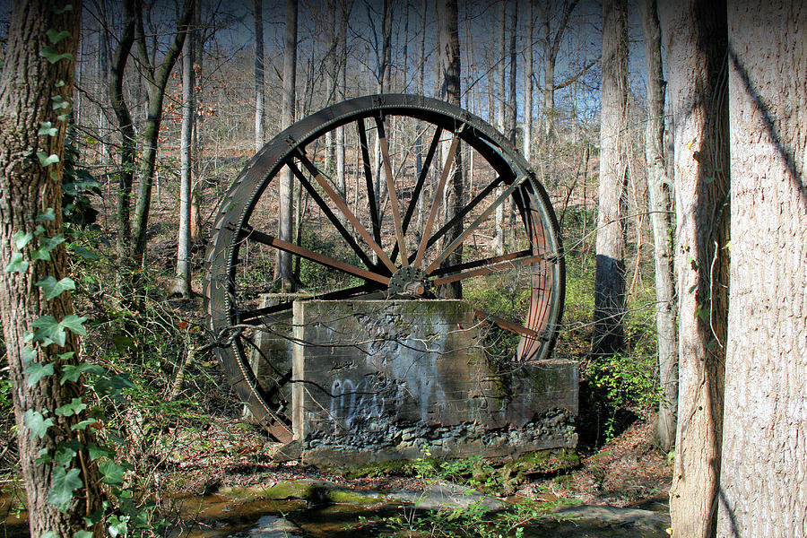 Tree Photograph - The Old Iron Wheel by Cathy Harper