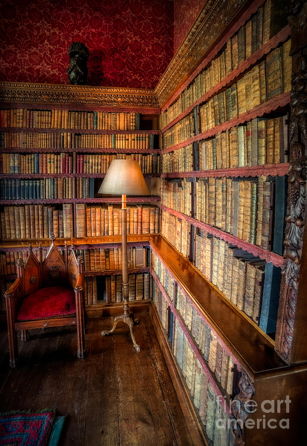 Book Photograph - The Old Library by Adrian Evans