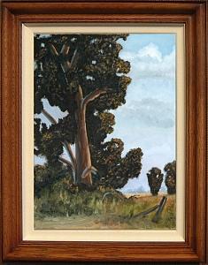 Eucalyptus Painting - The Old Meeting Place by Graham Murray Eucalyptus Painting - The Old Meeting Place by Graham Murray