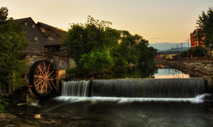 Tree Photograph - The Old Mill by Greg and Chrystal Mimbs