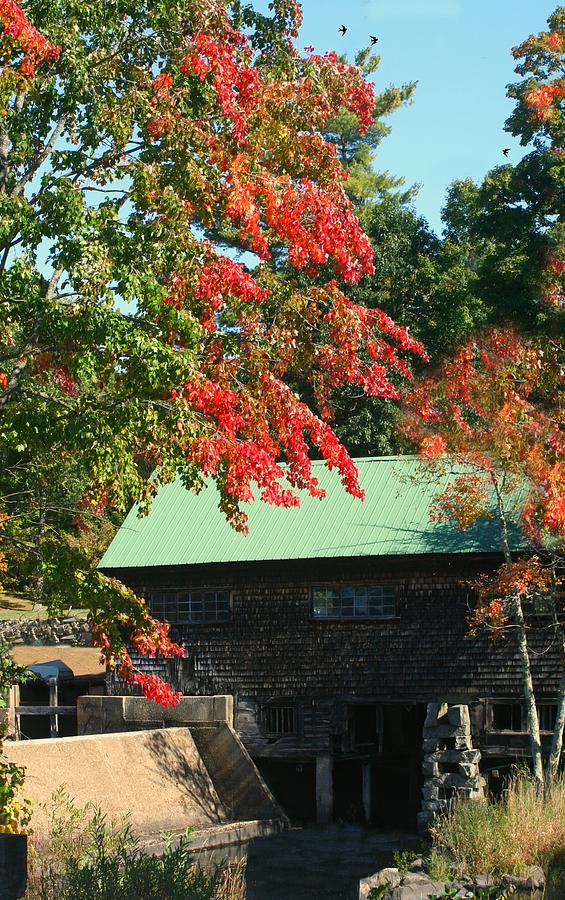 The Old Mill In Autumn Photograph by Barbara S Nickerson
