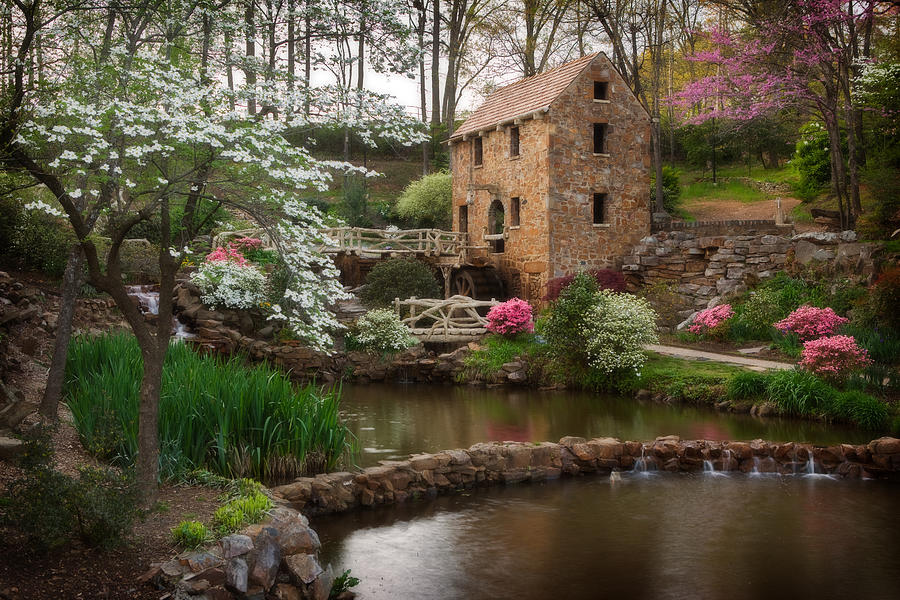 Gone With The Wind Photograph - The Old Mill by Jonas Wingfield