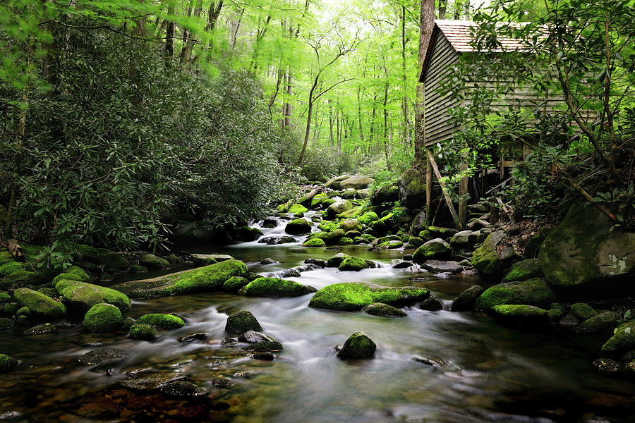 The Old Mill Photograph by Nicholas Blackwell