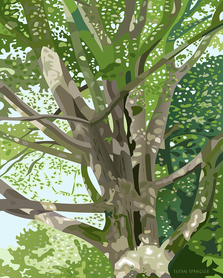 The Old Oak by Susan Spangler The Old Oak by Susan Spangler