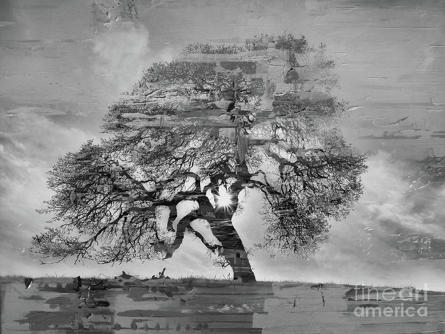 The Old Oak Tree standing alone  Painting by Gull G