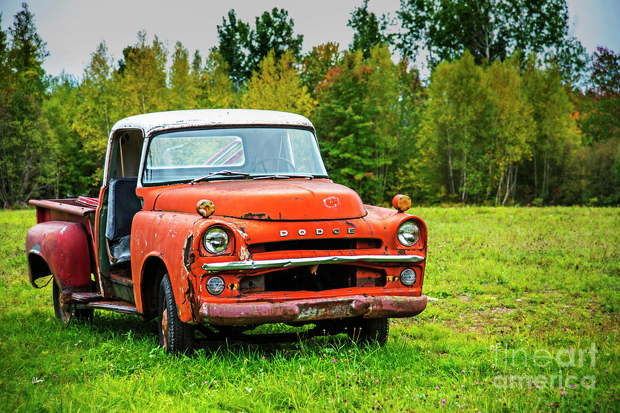 The Old Orange Dodge Photograph by Alana Ranney