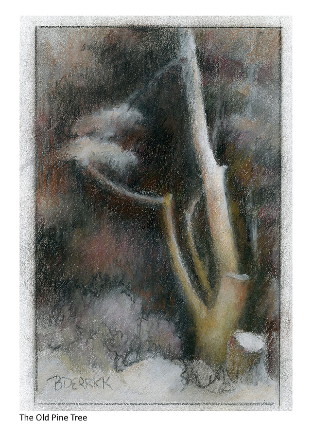 The Old Pine Tree Pastel by Betsy Derrick