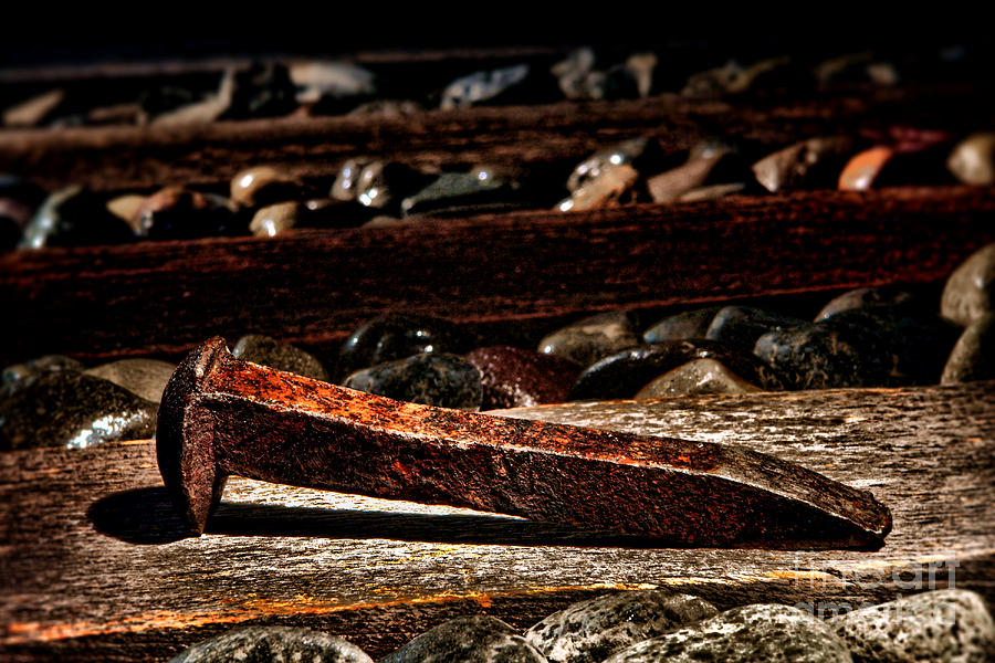 The Old Railroad Spike Photograph by Olivier Le Queinec