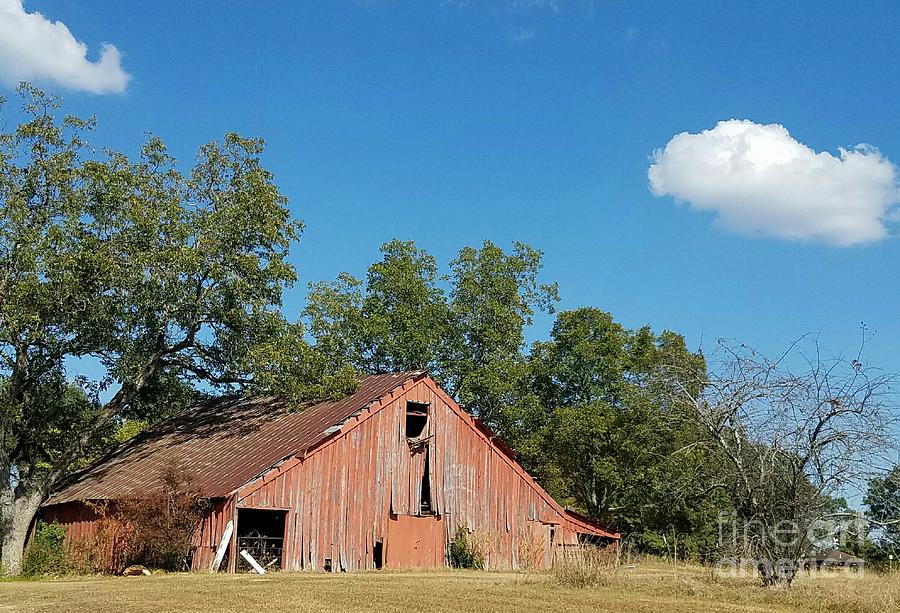 The Old Red Barn Photograph by Maria Urso