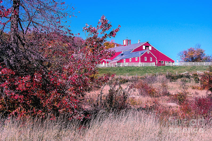 The Old Red Barn Photograph by Mim White