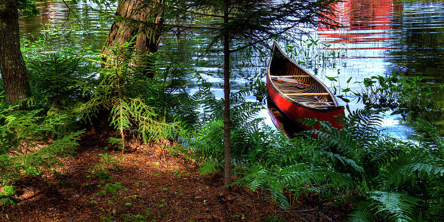 The Old Red Canoe Photograph by David Patterson