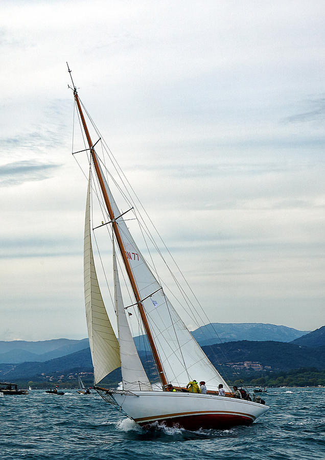 The old sailing yacht at competitions in the gulf of Saint Trope ...