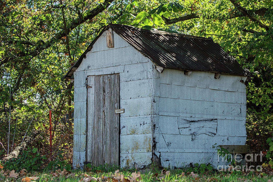 Nature Photograph - The Old Shed by Diane Friend