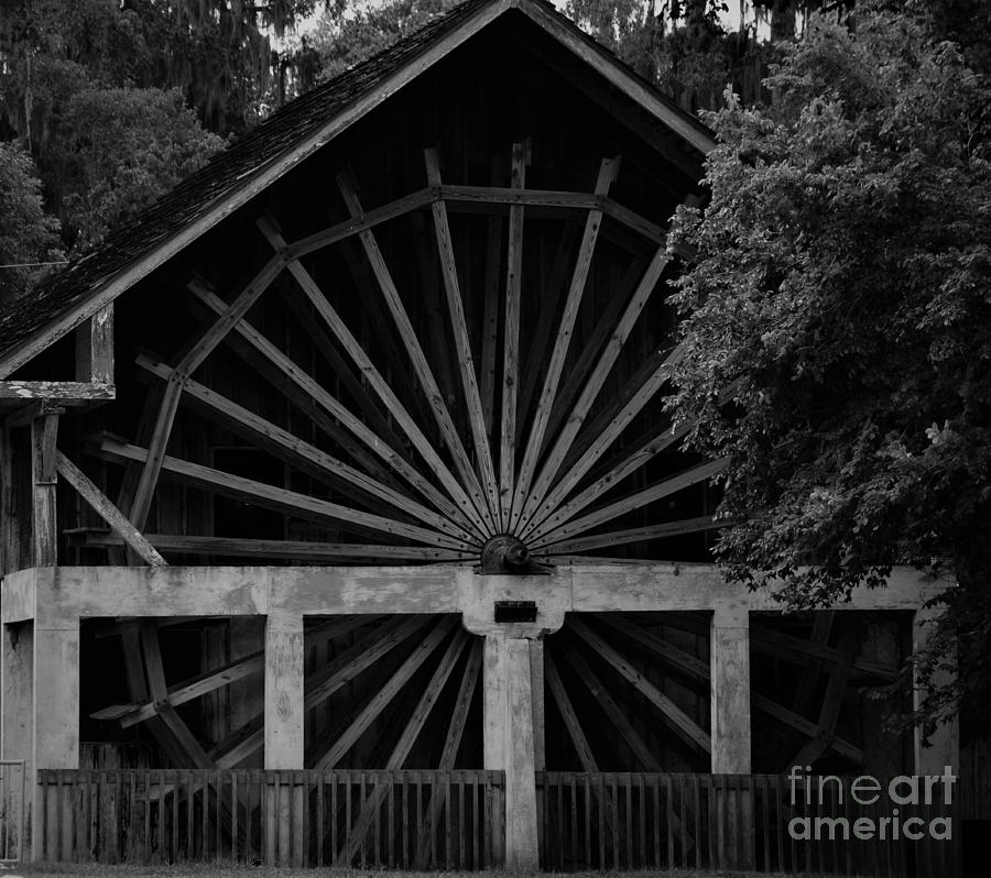 The Old Spanish Sugar Mill - De Leon Springs, Florida Photograph by Adrian De Leon Art and Photography