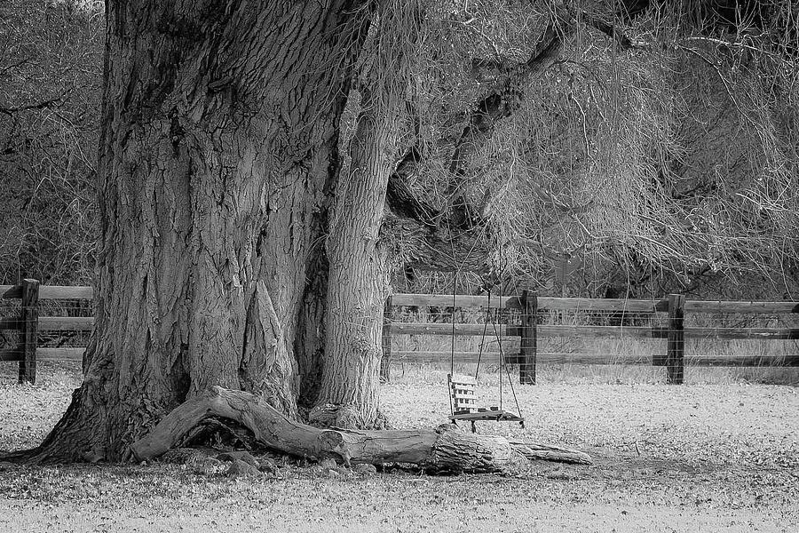 The Old Swing Photograph by Teresa Wilson