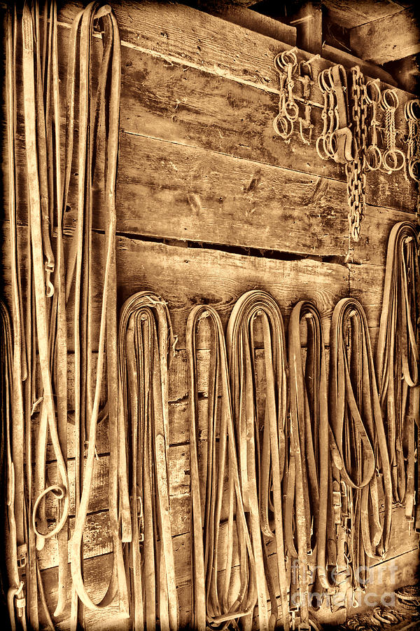 The Old Tack Room Photograph by American West Legend By Olivier Le ...