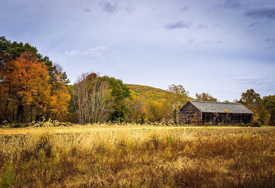 The Old Tobacco Barn Photograph by Simmie Reagor