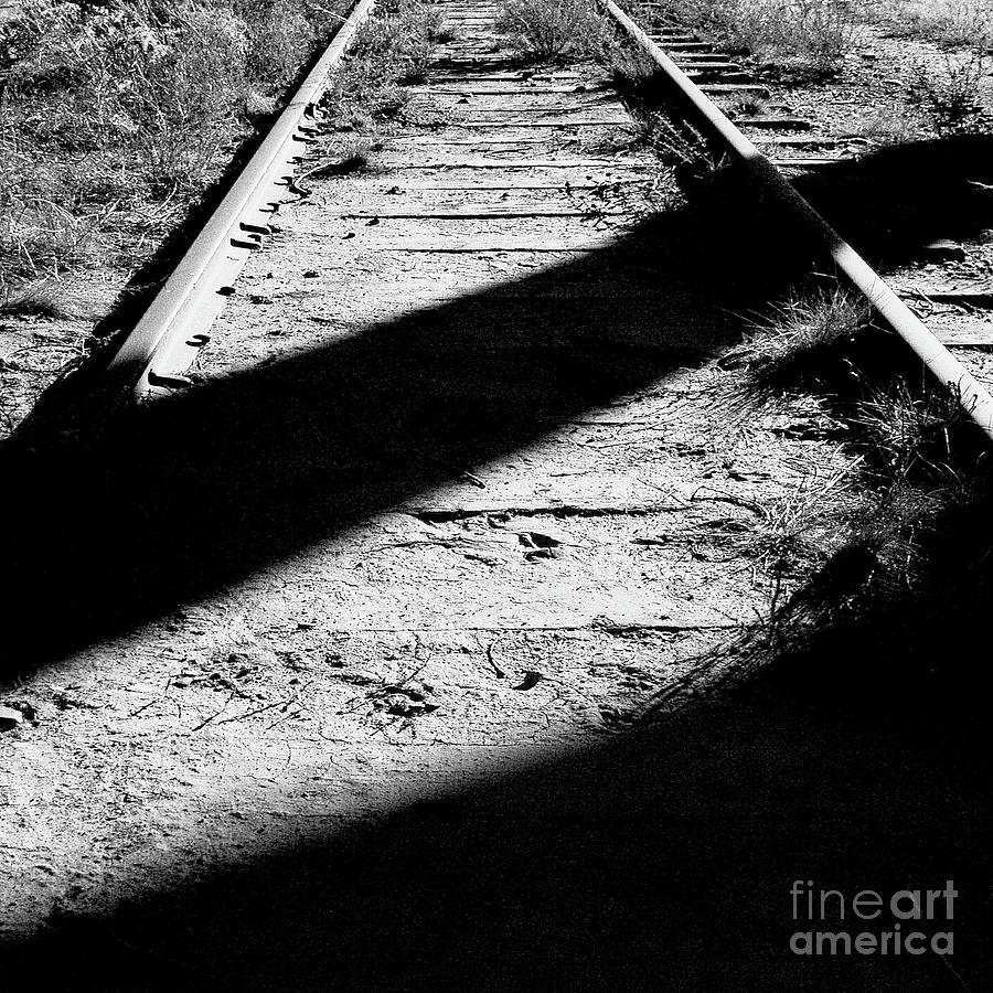 The Old Track BW Photograph by Tim Richards