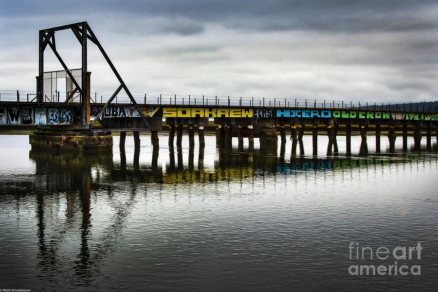 The Old Train Bridge Photograph by Mitch Shindelbower