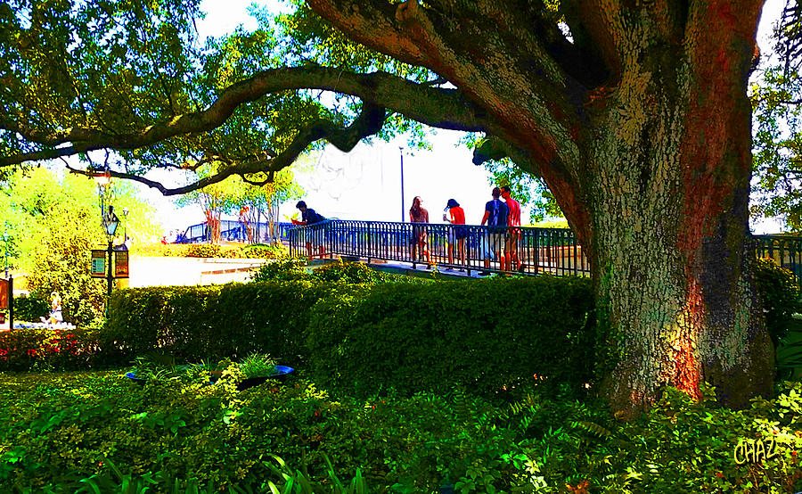 The Old Tree In The Park Painting by CHAZ Daugherty