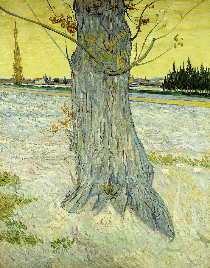 The Old Tree Painting by Vincent Van Gogh