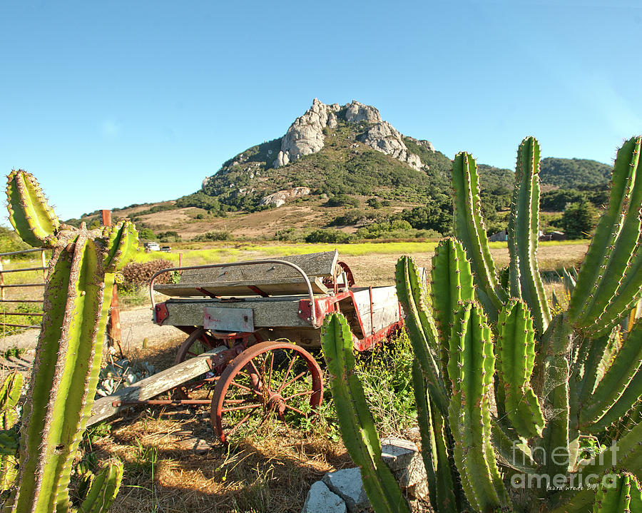 The Old Wagon and Cactus patch in front of one of the Seven Sisters in San Luis Obispo California Photograph by Artist and Photographer Laura Wrede