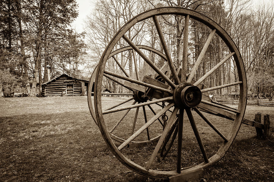 The Old Wheel Photograph by Michael Scott
