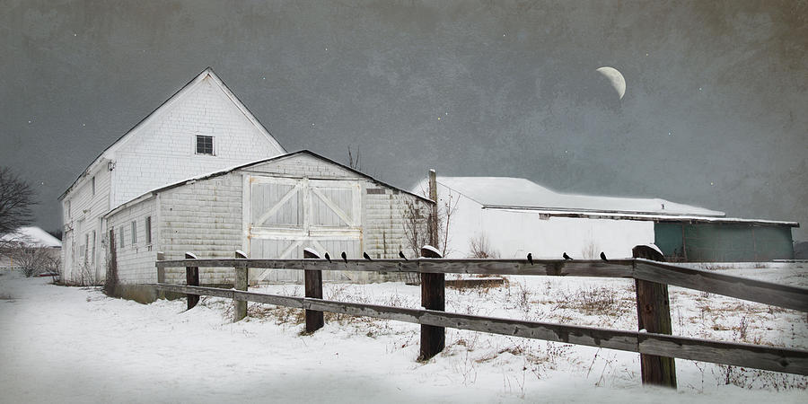 The Old White barn Photograph by Robin-Lee Vieira