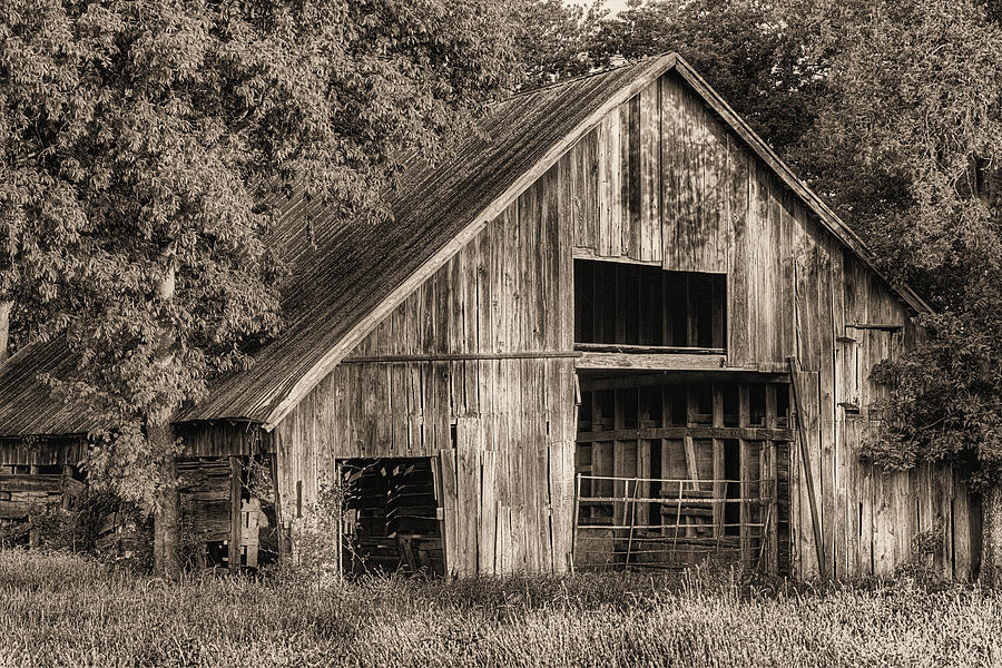 The Old Wooden Barn in Denton Sepia Photograph by JC Findley
