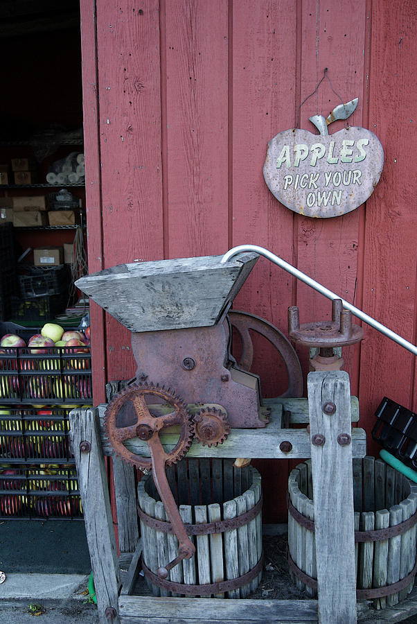 The Olde Apple Press Photograph by Margie Avellino