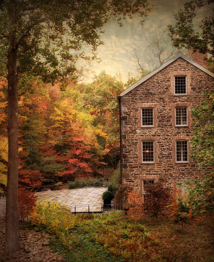 The Olde Country Mill Photograph by Jessica Jenney