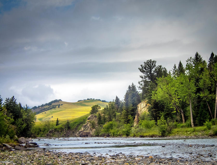 Tree Photograph - The Oldman River by Phil And Karen Rispin