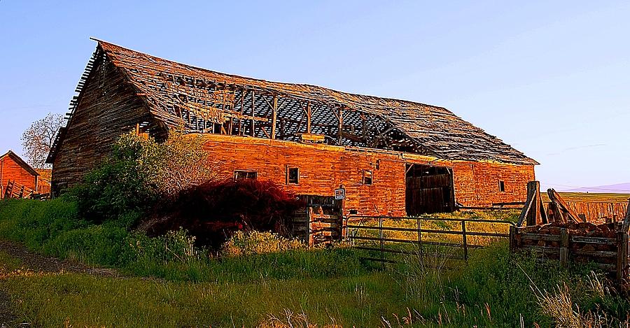 The Ole Barn Photograph by Steve Warnstaff