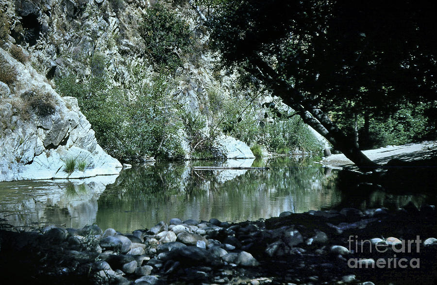 Bucket Photograph - The Ole swimming hole on the Carmel River just below The Bucket 1955 by Monterey County Historical Society