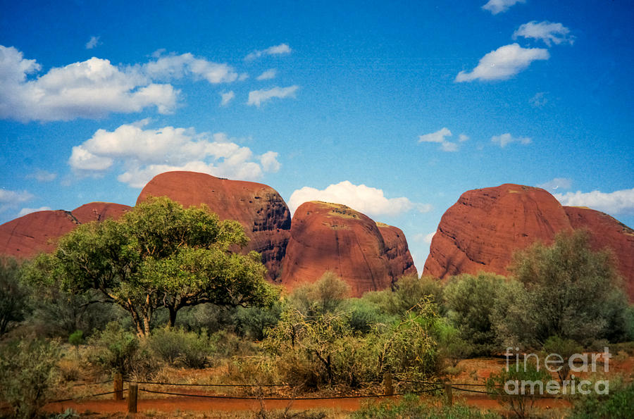 The Olgas Photograph by Suzanne Luft