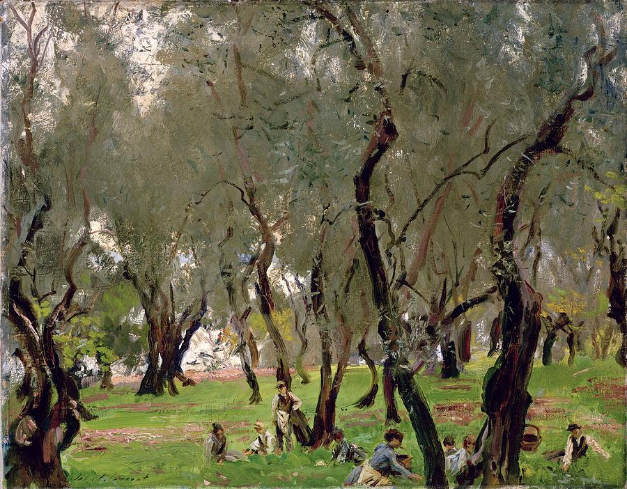 Tree Painting - The Olive Grove by John Singer Sargeant