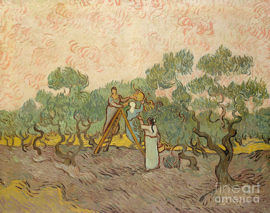 The Olive Pickers, Saint-Remy, 1889 Painting by Vincent Van Gogh